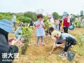 2023年惠州学校组织植树春游去哪好玩？