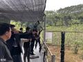 惠州公司团建回归自然,体验农家乐趣 惠州公司团建回归自然,体验农家乐趣