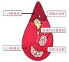 月经的科学认知与健康管理:破除误区,拥抱科学 月经的科学认知与健康管理:破除误区,拥抱科学