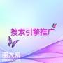 天河专业搜索引擎推广，让品牌推广抢占先机