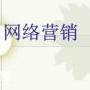 广州专业的网络营销公司，为中小企业赢来新的商机