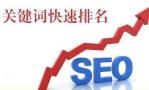 广州专业做关键词排名的公司，让企业的收益远远超出预期