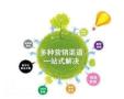 广州全网营销推广公司，快速扩张企业的市场规模