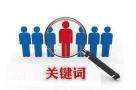东莞做关键词优化的公司，获得更多的精准客户转化