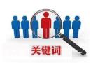 南沙做关键词排名优化的公司，让企业获取好的排名