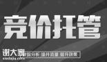 体育西路做竞价托管的公司，为企业带来更高的效率