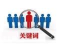 广州做关键词排名优化的公司，为企业抓取精准客户流量